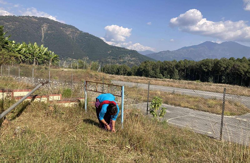बलेवा विमानस्थल कालोपत्रे गर्दा सम्झौताविपरीत लम्बाई र चौडाइ घटाएर आर्थिक&hellip;