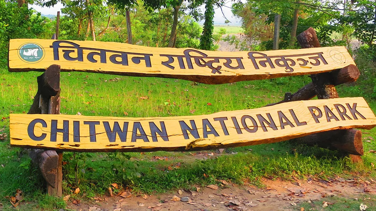 चितवनमा ५० हेक्टर वन क्षेत्रमा ‘टाइगर सेन्चुरी’ बन्दै