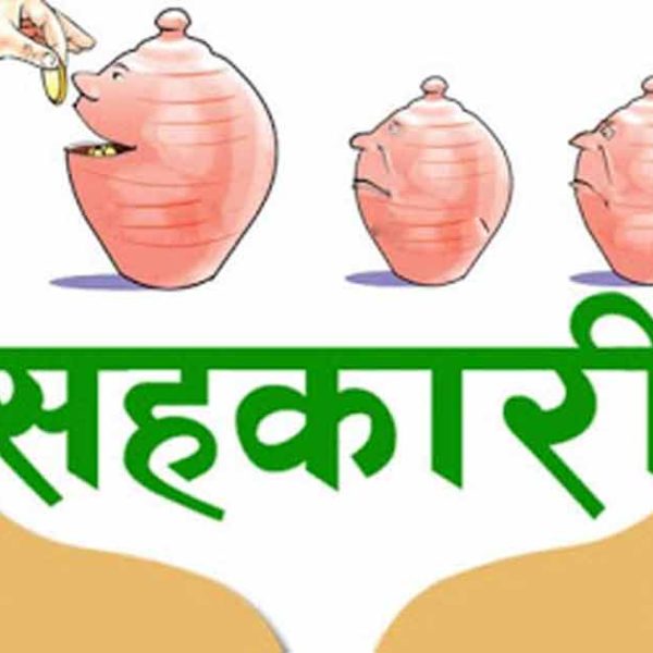 सहकारी वेथिति प्रतिवेदन : एकै व्यक्तिलाई&hellip;