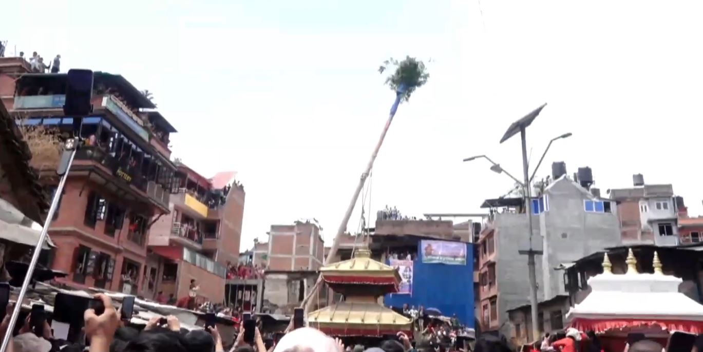 जिब्रो छेड्ने जात्राको पूर्वतयारीः हात नभएको लिङ्गो उठाइयो (भिडियो)