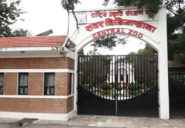 बर्ड फ्लू देखिएपछि चिडियाखाना बन्द