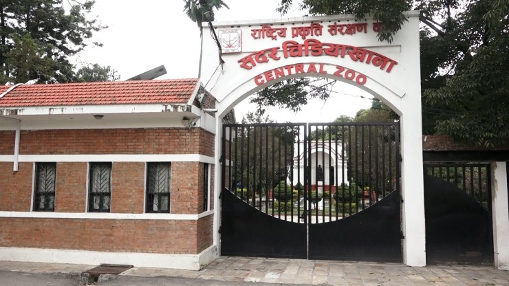 चिडियाखानाभित्र एक पुरुष मृत फेला