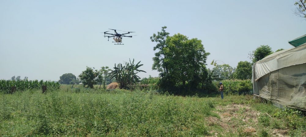 बीउ-विषादी छर्किन ड्रोनको प्रयोग : उत्पादनमा वृद्धि, किसानलाई सन्तुष्टि