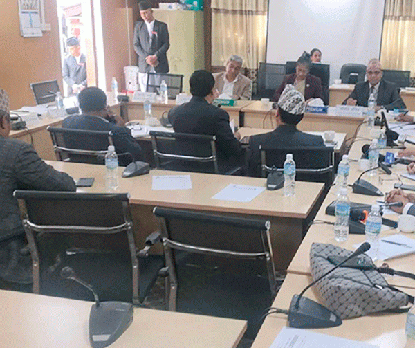 तीनकुने घटनाबारे पूर्वराजालाई संसदीय समितिमा बोलाउन सांसदहरुको प्रस्ताव (भिडियो)