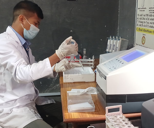 भाजी र माटेसागमा अधिक विषादी
