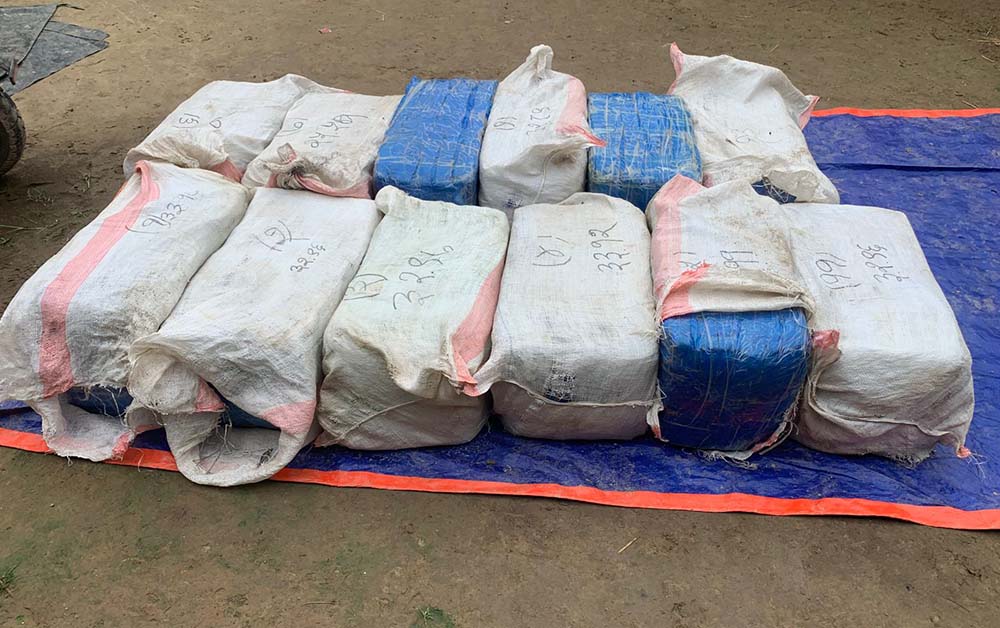 करिब ३३० किलो गाँजासहित दुई भारतीय पक्राउ