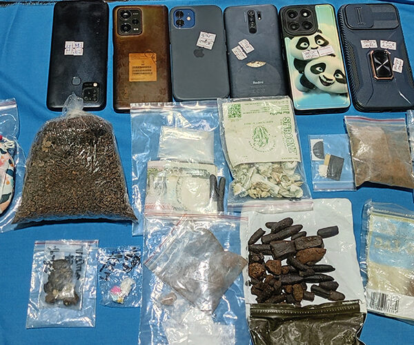 पोखरामा रातभरि ट्रान्स पार्टी, विदेशीसहित १२ जना पक्राउ