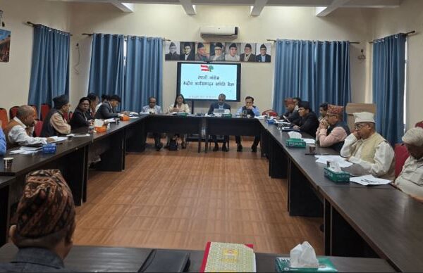 कांग्रेस केन्द्रीय कार्यसम्पादन समितिको बैठक सानेपामा