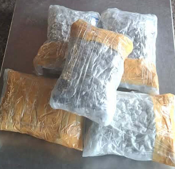 त्रिभुवन विमानस्थलबाट गाँजासहित भारतीय नागरिक पक्राउ