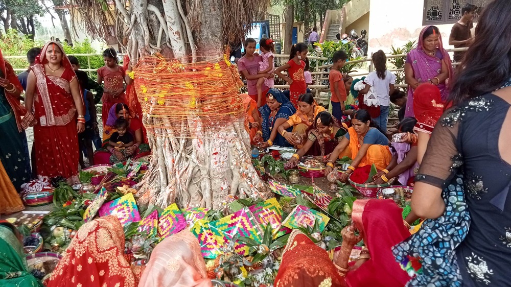 मिथिला क्षेत्रमा आज वटसावित्री पर्व मनाइँदै