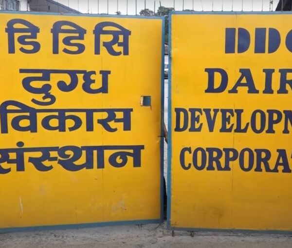 डीडीसीले गर्यो दूध किसानको १२ करोड बक्यौता भुक्तानी