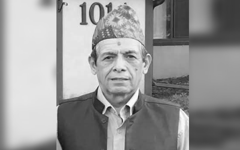 अमेरिकाबाट नेपाल फर्किँदै गर्दा जहाजमा अचेत भेटिएका…