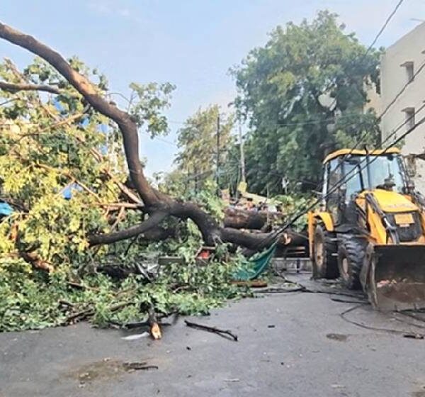 उत्तरप्रदेशमा हावाहुरीका कारण १०४ जनाको मृत्यु