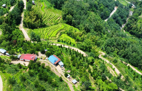 सिरदली–चौडेनी सडक स्तरोन्नति