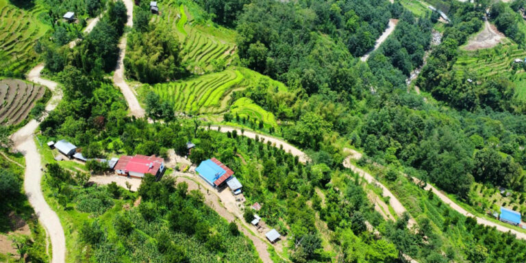 सिरदली–चौडेनी सडक स्तरोन्नति