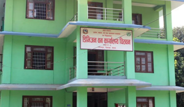 पुराना काठ व्यवस्थापन गर्दै डिभिजन वन कार्यालय