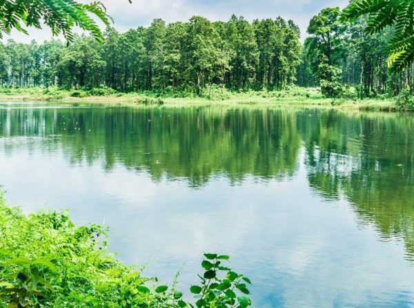 सीमा क्षेत्रको बाँध अग्लो बनाउँदा, गौर&hellip;