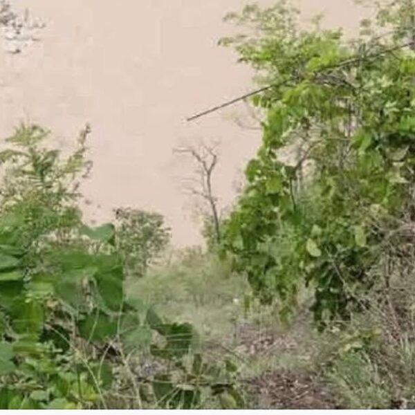 दैलेखमा यात्रुवाहक फोर्स गाडी कर्णाली नदीमा खस्यो, एक जनाको अचेत अवस्थामा उद्धार
