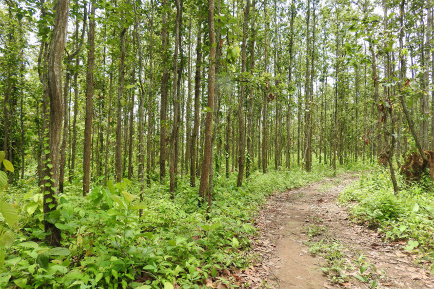 हुम्लामा जडीबुटी संकलन गर्न गएका मुगुका एक&hellip;