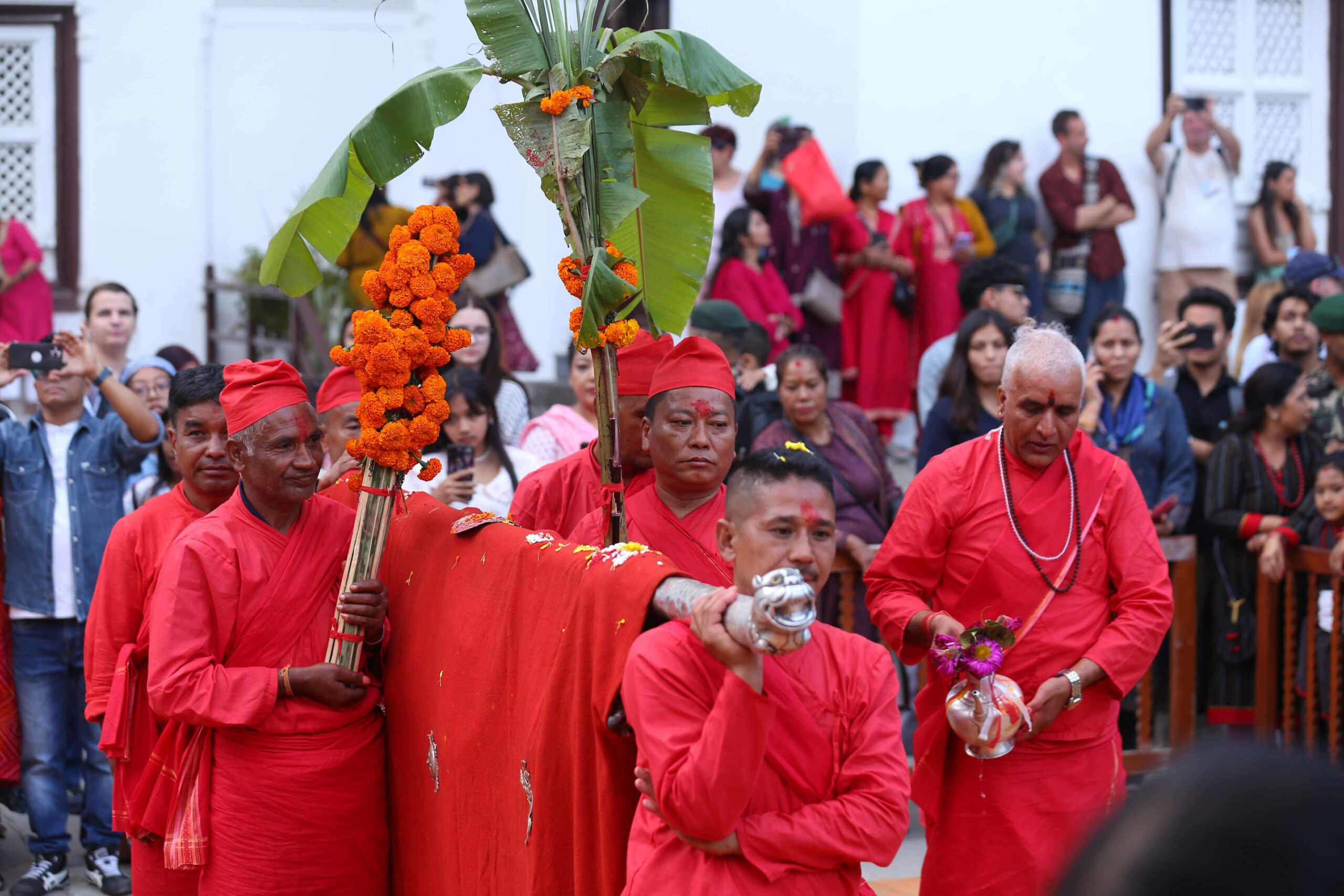 हनुमानढोकाको दसैँघरमा भित्र्याइयो फूलपाती