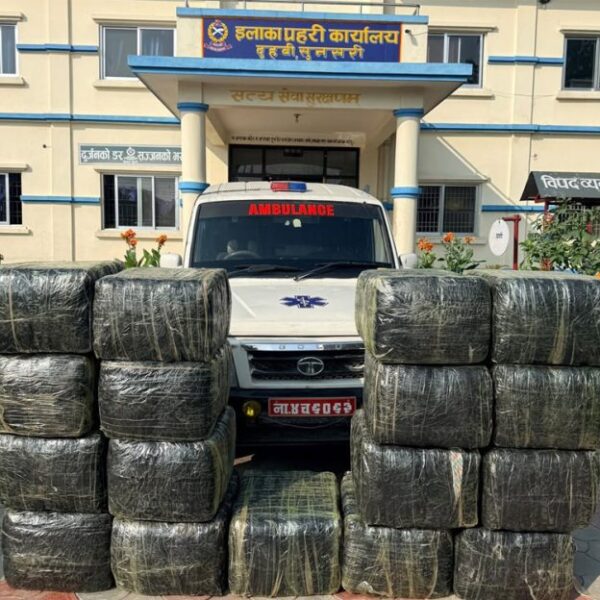 सुनसरीमा एम्बुलेन्सबाट ५७४ किलो बढी गाँजा बरामद
