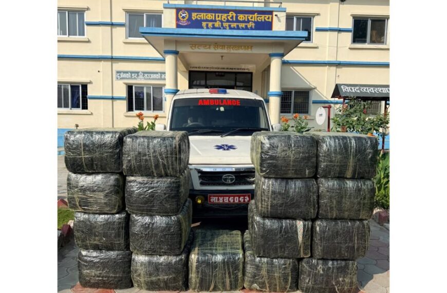 सुनसरीमा एम्बुलेन्सबाट ५७४ किलो बढी गाँजा बरामद